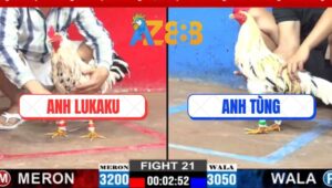 Trận 21 CPC3 12/3/2025 - Anh Lukaku Tiếp Tục Rớt Nài Trước Anh Tùng