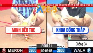 Trận 21 CPC3 4/3/2025 - Úa Chân Trắng Chồng Độ Lụm Cái Xổ Nữa Tỏi