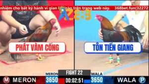 Trận 22 CPC3 5/3/2025 - Điều Vàng Anh Phát Đá Cựa Như Máy Chém