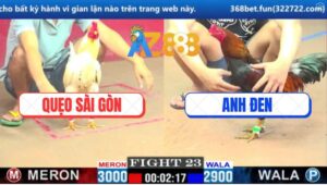 Trận 23 CPC1 15/3/2025 - Đúng Xanh Mẻ Hiệu Tính GaKing Nuốt Ói Cứu Chủ