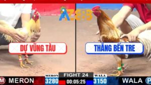 Trận 24 CPC2 5/3/2025 - Bướm Anh Dự Đá 3 Số Tới Hạ Camelo Anh Thắng