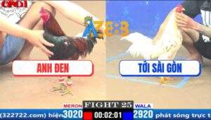 Trận 25 CPC1 27/3/2025 - Xanh Hiệu Tính Ga King Đưa AE Đi Bình Dương