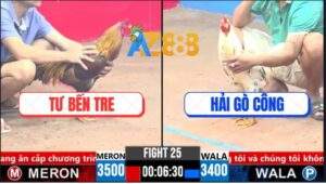 Trận 25 CPC3 27/3/2025 - Hải Gò Công Đãi Sinh Nhật 5 Trận Liên Tiếp