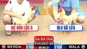 Trận 26 CPC1 22/3/2025 - Úa Cọp BLV Gà Lửa 1 Đá Lấy Mạng Gà Anh Dự