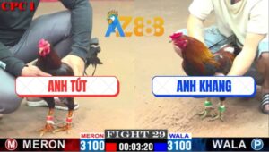 Trận 29 CPC1 1/3/2025 - Bổn Gà Duyên Ti Mắc Xương, 1 Đá Té Hết Sửa