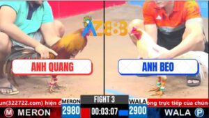 Trận 3 CPC3 14/3/2025 - Khét Cọp Anh Quang Chổi Chân 1 Đối Thủ Gãy Giò