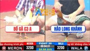 Trận 30 CPC3 19/3/2025 - Gà Bướm Bồ Gà C3 Quá Trâu, Điều Đá Không Thấm