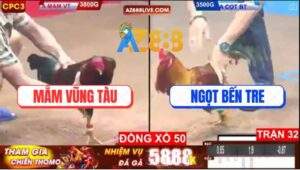 Trận 32 CPC3 28/3/2025 - Điều Chột Mắt Anh Mắm Vũng Tàu Hạ Sát Đối Thủ