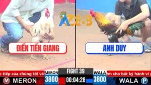 Trận 39 CPC3 27/3/2025 - Anh Điền Phản 5 Lai, Hàng Sáu Kêu Trời