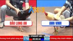 Trận 40 CPC2 30/3/2025 - Anh Bảo Quá Hừng Muốn Thua Cũng Không Được