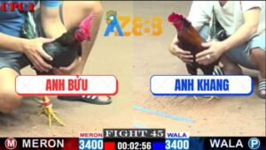 Trận 45 CPC1 1/3/2025 - Gà Điều Duyên Tí Ra Đòn Hiểm Đối Thủ Bại Liệt