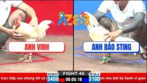 Trận 45 CPC2 30/3/2025 - Anh Bảo Sting Nhìn Tang Dẫn Hòa Quá Đẳng Cấp