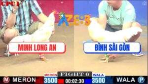 Trận 6 CPC1 22/3/2025 - Bướm Má Minh Đá Chân Nào Úa Sụp Chân Đó