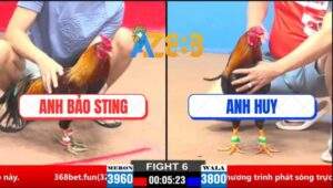 Trận 6 CPC1 21/3/2025 - Phóng Bạc Anh Bảo Sting Và Cái Kết Liệt Tứ Chi