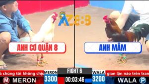 Trận 6 CPC3 14/3/2025 - Gà Úa Anh Cơ Quận 8 Có Chân Xạo Lờ Phút 90