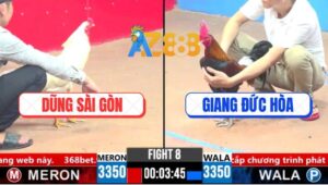 Trận 8 CPC3 15/3/2025 - Trận Gà Tranh Cải Giữa Anh Dũng Và Anh Giang