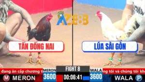 Trận 8 CPC3 28/3/2025 - Gà Bướm Anh Lúa Đá Chân 1 Đối Thủ Chạy Mất Dép