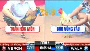 Trận 9 CPC3 26/3/2025 - Hai Con Cùng Gục Bất Phân Thắng Bại