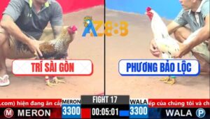 Trận 17 CPC3 15/3/2025 - Gà Cú Anh Trí Sài Gòn Có Chân Mai Độ Phút 90