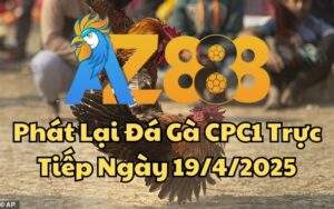 Phát Lại Đá Gà CPC1 Trực Tiếp Ngày 19/04/2025