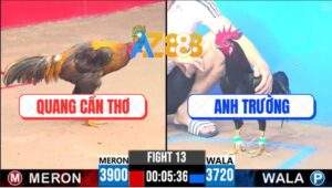 Trận 13 CPC3 9/4/2025 - Gà Khét Anh Bé Quá Dày Gà Que Đâm Không Thấm