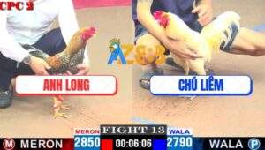 Trận 13 CPC2 13/4/2025 - Gà Cú Anh Long Đá Chú Liêm Thở Không Ra Hơi