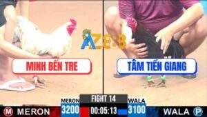 Trận 14 CPC3 13/4/2025 - Xanh Que Anh Tâm Đâm Bướm Má Minh Nằm Đống