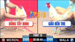 Trận 15 CPC3 15/4/2025 - Gà Bướm Anh Gấu Đứng 1 Chân Lụm Lúa Đẳng Cấp