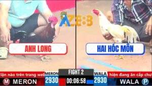 Trận 2 CPC3 4/4/2025 - Điều Tích Phật Đá Gà Bướm Anh Hai Nằm Bại Liệt