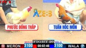 Trận 20 CPC2 18/4/2025 - Anh Phước Đồng Tháp Đụng Anh Ton