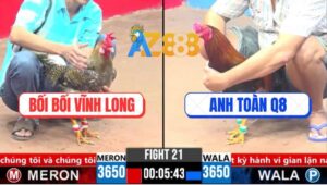 Trận 21 CPC3 5/4/2025 - Cú Tẻo Bối Bối Bị Gà Điều Hạ Trong 1 Nốt Nhạc