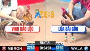 Trận 21 CPC3 22/4/2025 - Anh Vinh Bảo Lộc Và Anh Lúa Sài Gòn