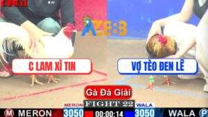 Trận 22 CPC1 10/4/2025 - Chị Lam Xì Tin Gặp Vợ Tèo Đen Lê