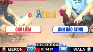 Trận 22 CPC2 27/4/2025 - Bướm Chú Liếm Đá 3 Chân Hạ Gà Điều Bảo Sting