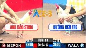 Trận 24 CPC3 22/4/2025 - Anh Hưởng Chơi Ngông Chấp Bảo Sting 3 Chấm