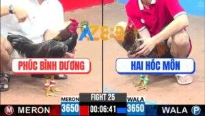 Trận 25 CPC3 22/4/2025 - Gà Chú Phúc Quá Trâu Gà Anh Hai Đá Không Thấm