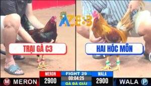 Trận 29 CPC3 9/4/2025 - Chung Kết Kịch Tính, Hai Con Cùng Tử