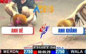 Trận 34 CPC1 17/4/2025 - Anh Bé Phản Ăn 1 Ôm Gà Điều Nhảy Ăn Mừng