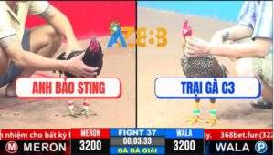 Trận 37 CPC3 1/4/2025 - Anh Bảo Sting Hạ Má Minh Lấy 3 Điểm Đầu Tiên