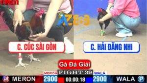 Trận 39 CPC1 10/4/2025 - Chị Cúc Sài Gòn Gặp Chị Hải Đăng Nhi