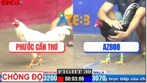 Trận 39 CPC1 3/4/2025 - Gà Ô Xóm Gà AZ Đá Chạy Xe Khó Chịu Hạ Gà Anh Phước