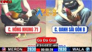 Trận 40 CPC1 10/4/2025 - Chị Hồng Nhung 71 Và Chị Oanh Sài Gòn B