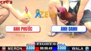 Trận 6 CPC2 30/4/2025 - Gà Điều Anh Danh Siết Tay Nước Gà Úa Gãy Giò