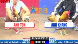 Trận 7 CPC1 3/4/2025 - Bổn Khét Số 1 Trại Gà Duyên Ti Đâm Cựa Quá Hiểm