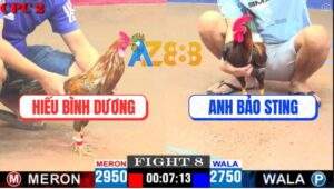 Trận 8 CPC2 27/4/2025 - Gà Cú Anh Hiếu Xử Đẹp Điều Cupan Anh Bảo Sting