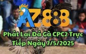 Phát Lại Đá Gà CPC2 Trực Tiếp Ngày 07/05/2025