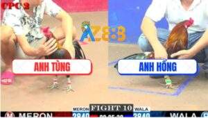 Trận 10 CPC2 21/5/2025 - Con Té Con Ói, Anh Tùng Phù Phép Đứng Ăn Luôn