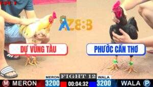 Trận 12 CPC1 26/5/2025 - Gà Bướm Anh Dự Vũng Tàu Dí Bạc Và Cái Kết