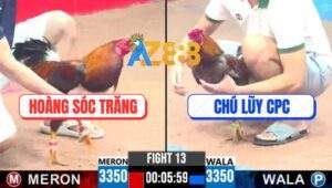 Trận 13 CPC3 25/5/2025 - IDol Tính Gà King C1 Đụng Chú Khanh Gốc Bự C3