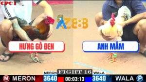 Trận 16 CPC1 22/5/2025 - Gà Bướm Anh Mắm Đâm Điều Gục Đầu Ói La Làng